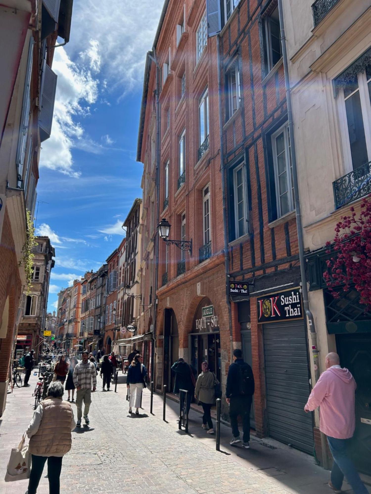 Au Charme Des Carmes - T1 Sur Cour - Metro A & B Apartment Toulouse Ngoại thất bức ảnh